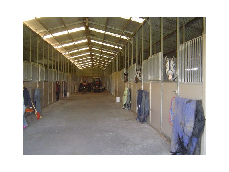 19 Hanigans Lane, Bolong NSW 2540