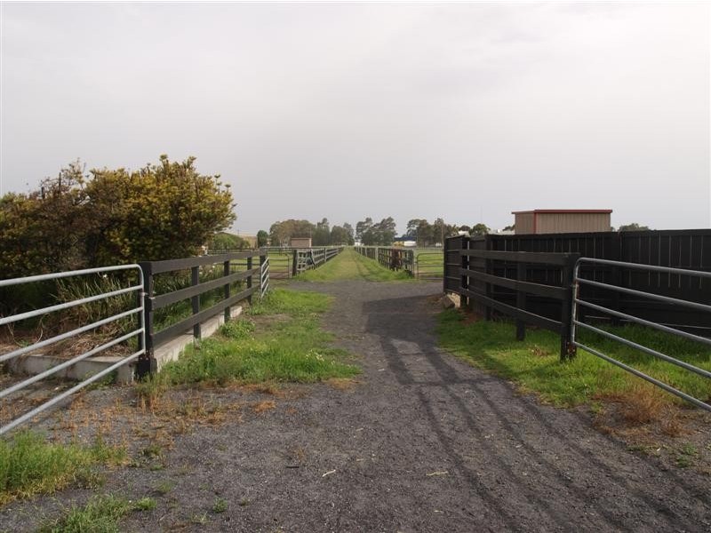 19 Hanigans Lane, Bolong NSW 2540