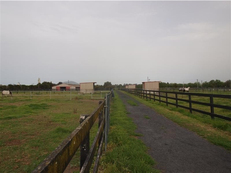 19 Hanigans Lane, Bolong NSW 2540