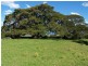 Lot 203 Rose Valley Road, Gerringong NSW 2534
