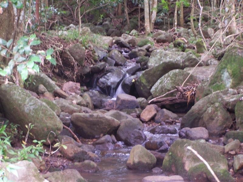 Lot 203 Rose Valley Road, Gerringong NSW 2534