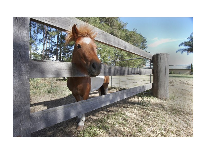 140D Bryces Road, Berry NSW 2535