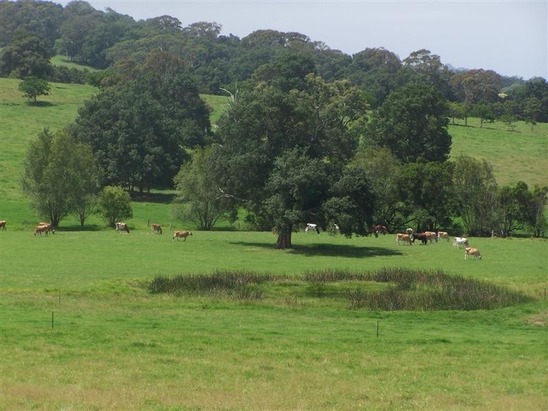 Lot 3 Agars Lane, Berry NSW 2535