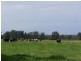 Lot 59 Agars Lane, Berry NSW 2535