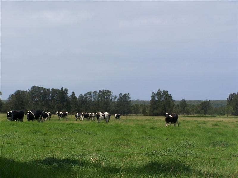 Lot 59 Agars Lane, Berry NSW 2535