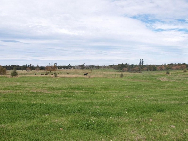 Coolangatta NSW 2535