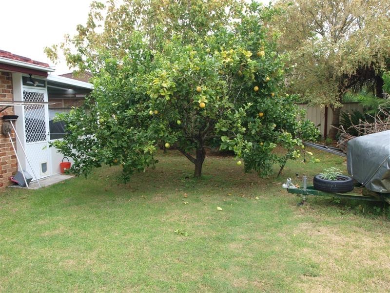 41 Amundsen Avenue, Shoalhaven Heads NSW 2535