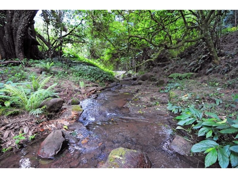 230 Brogers Creek Road, Berry NSW 2535