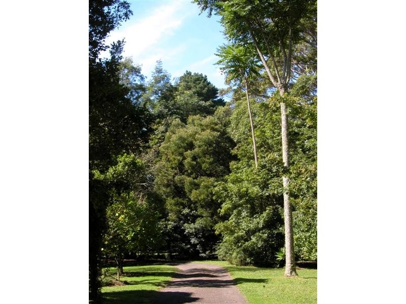 399 Tourist Road, Berry NSW 2535