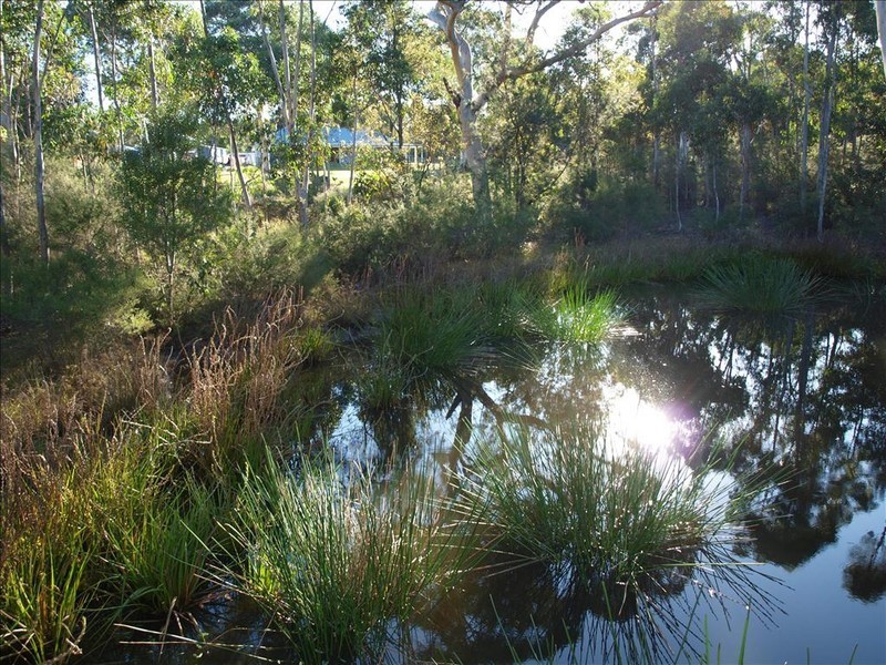 43A Hayward Road, Wandandian NSW 2540