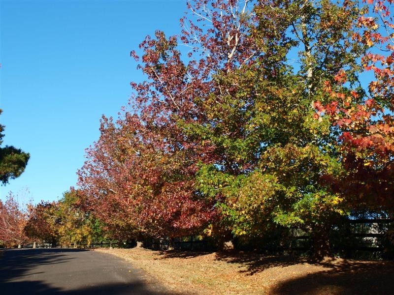 10 Borrowdale Close, Berry NSW 2535