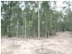 81 Watt Road, Falls Creek NSW 2540