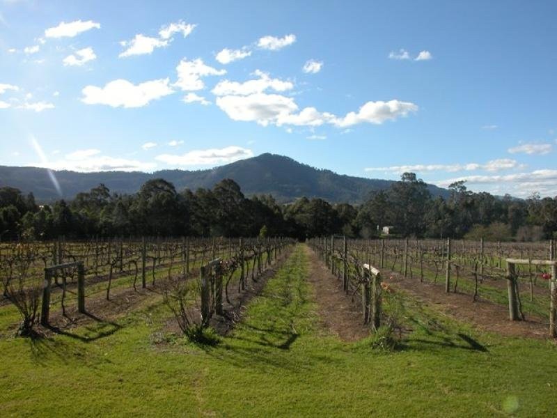 520 ILLAROO ROAD, Bangalee NSW 2541