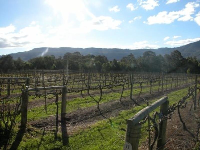 520 ILLAROO ROAD, Bangalee NSW 2541