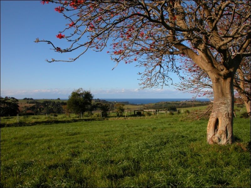 92 Jerrara Road, Jamberoo NSW 2533