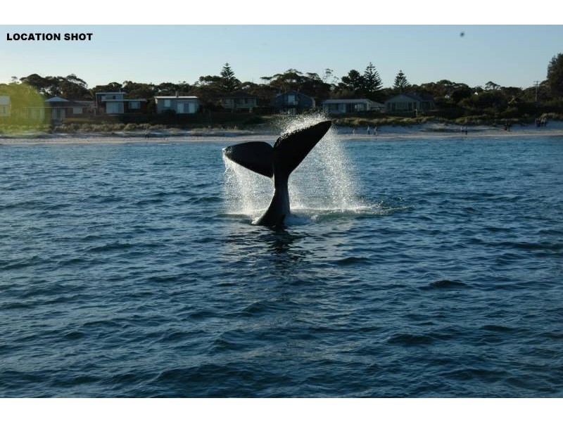 14 King George Street, Callala Beach NSW 2540