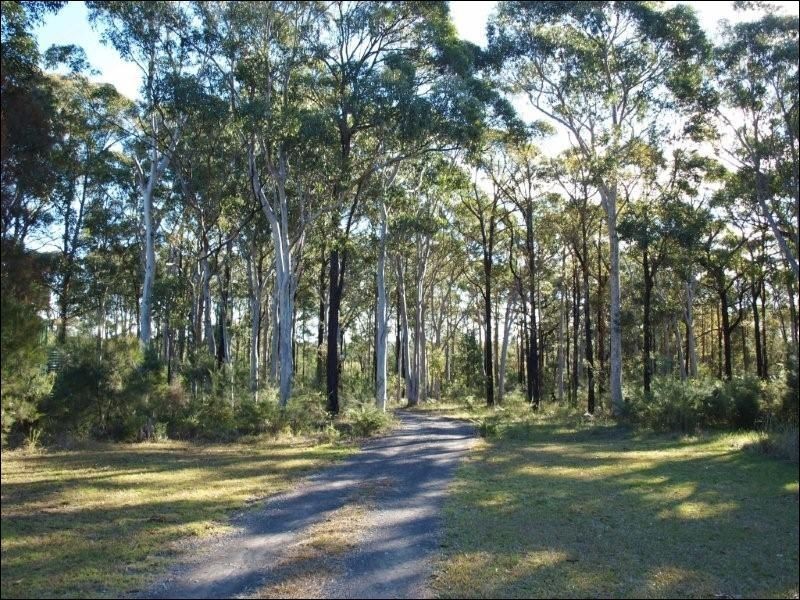 49 Watt Road, Falls Creek NSW 2540