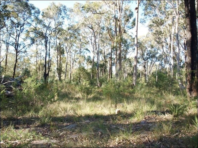 49 Watt Road, Falls Creek NSW 2540
