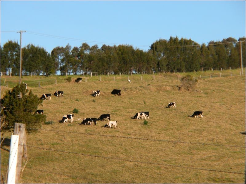 92 Jerrara Road, Kiama NSW 2533