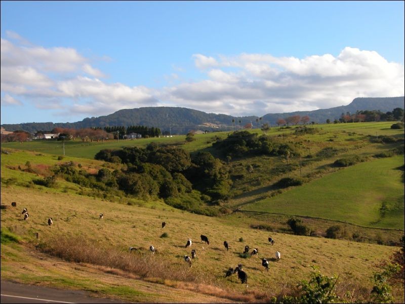 92 Jerrara Road, Kiama NSW 2533