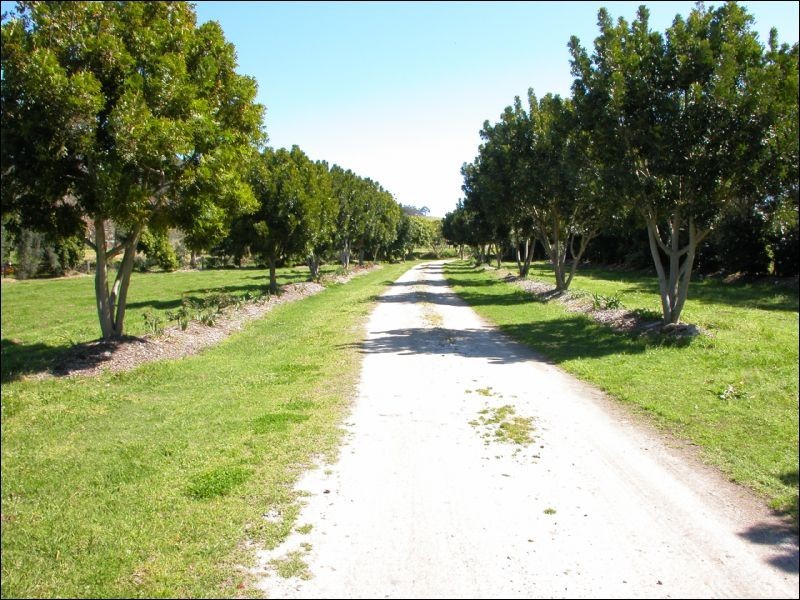 16 Coolangatta Road, Berry NSW 2535