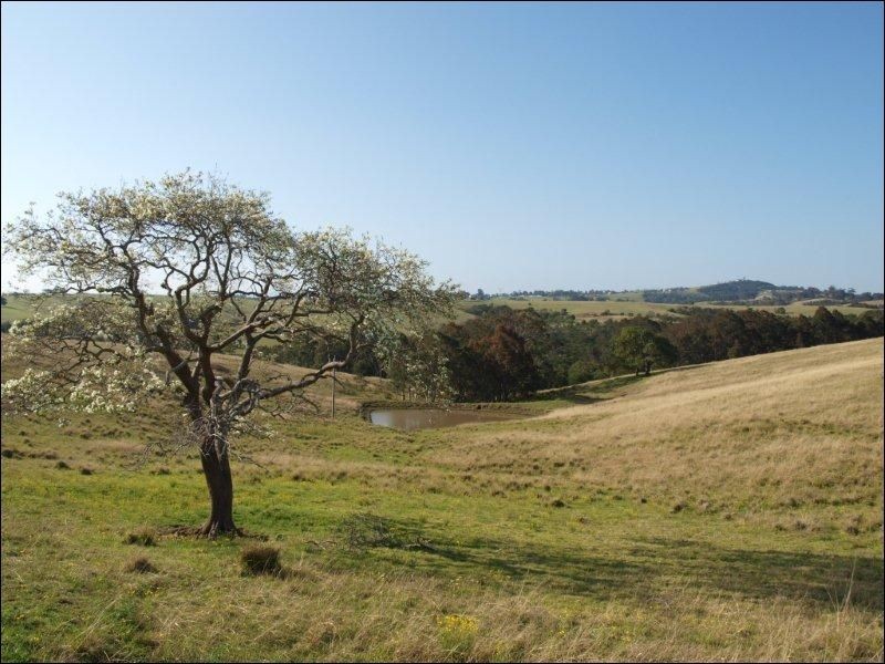 430 Parma Road, Falls Creek NSW 2540