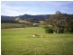 1043 Jamberoo Road, Jamberoo NSW 2533