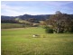 1043 Jamberoo Road, Jamberoo NSW 2533