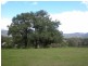 1043 Jamberoo Road, Jamberoo NSW 2533