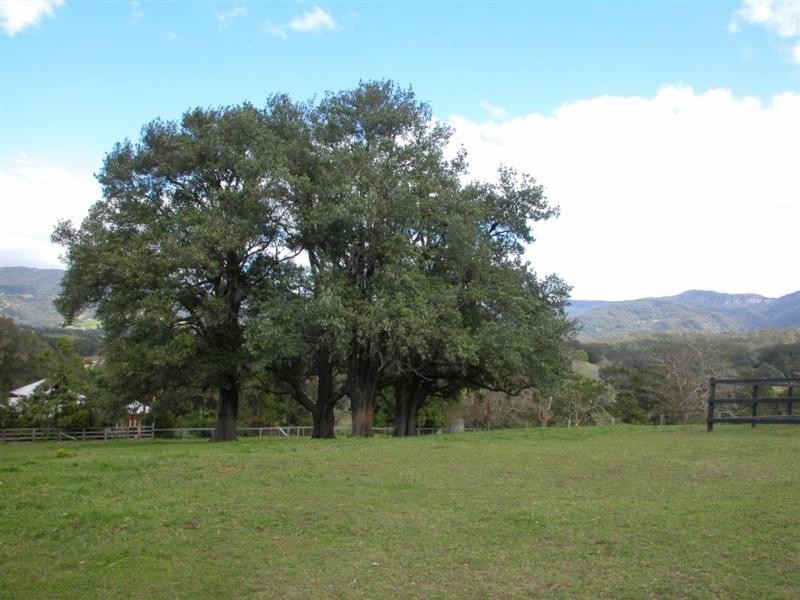 1043 Jamberoo Road, Jamberoo NSW 2533