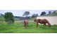 1043 Jamberoo Road, Jamberoo NSW 2533