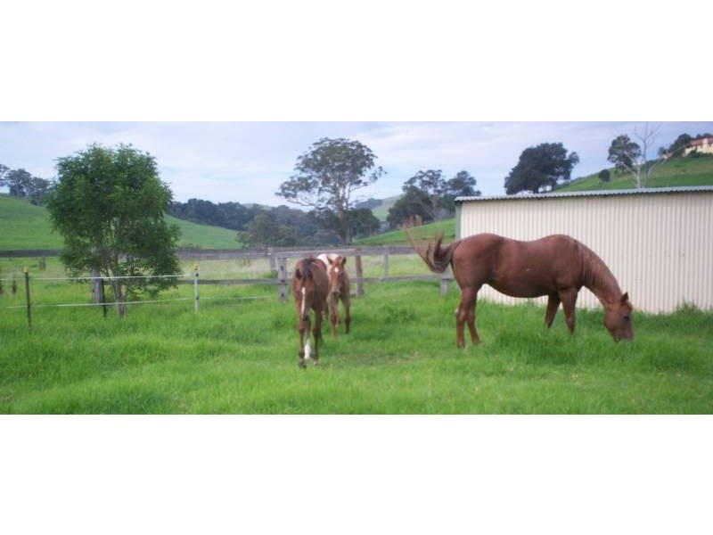1043 Jamberoo Road, Jamberoo NSW 2533