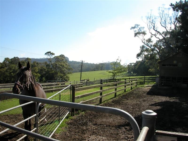 220 Tourist Road, Berry NSW 2535