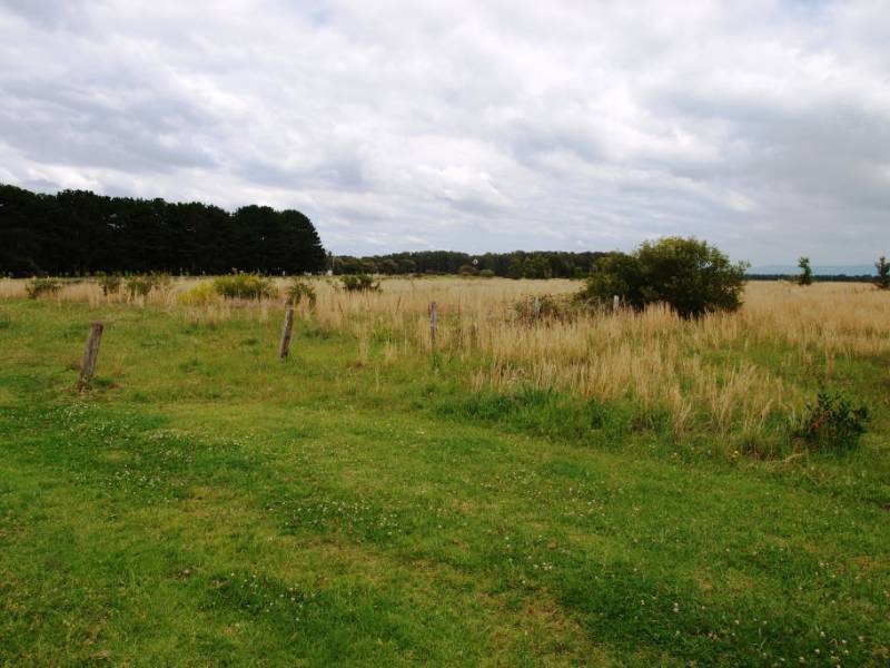 11 Bailey Avenue, Greenwell Point NSW 2540