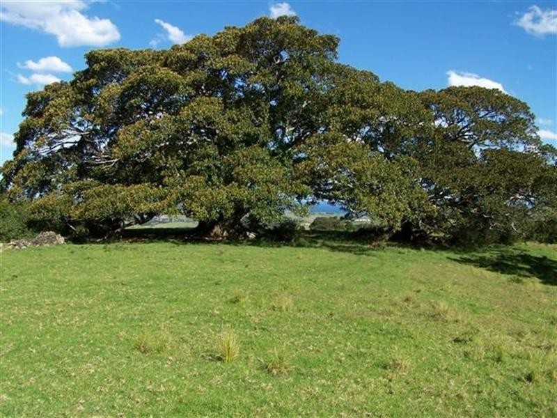 Lot 203 Rose Valley Road, Gerringong NSW 2534