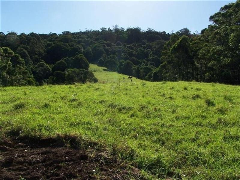 Lot 203 Rose Valley Road, Gerringong NSW 2534