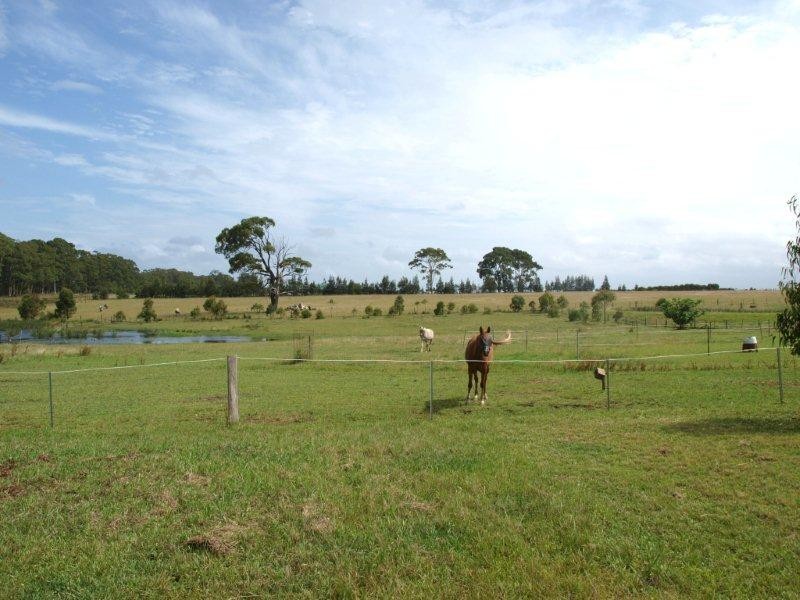 36 Forest Road, Falls Creek NSW 2540