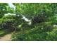 140 O Keefes Lane, Berry NSW 2535