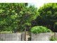 140 O Keefes Lane, Berry NSW 2535