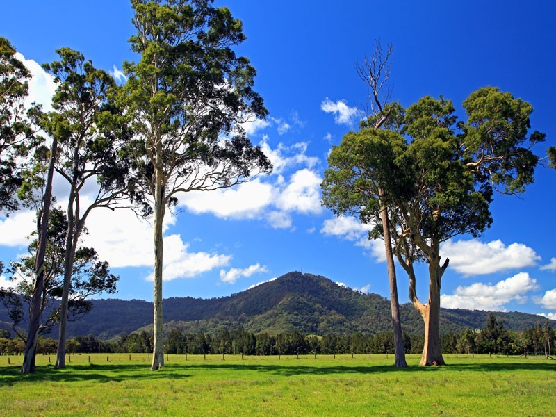 Lot 118 Hockeys Lane, Cambewarra NSW 2540
