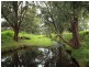 Lot 118 Hockeys Lane, Cambewarra NSW 2540