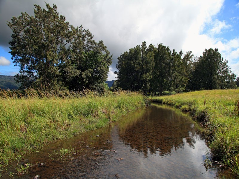 Lot 119 Taylors Lane, Cambewarra NSW 2540