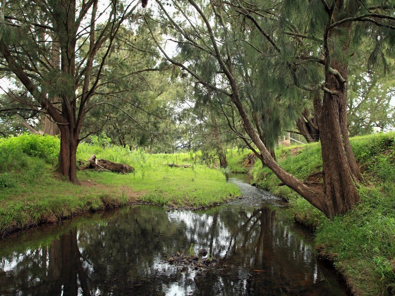 Lot 119 Taylors Lane, Cambewarra NSW 2540
