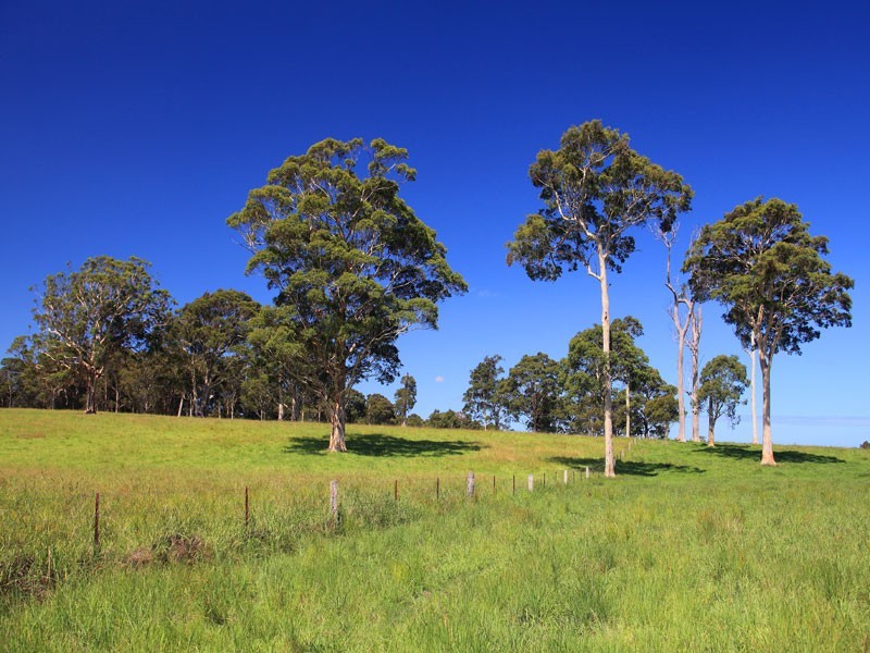 Lot 119 Taylors Lane, Cambewarra NSW 2540
