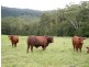 Berry NSW 2535