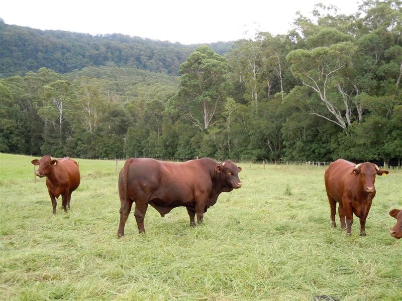 Berry NSW 2535