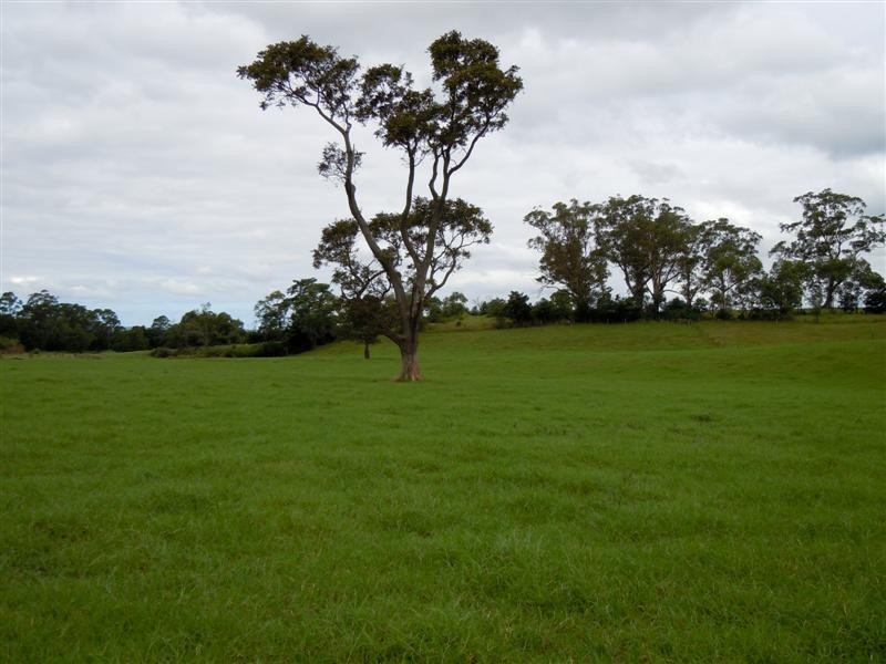 Berry NSW 2535