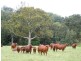 Berry NSW 2535