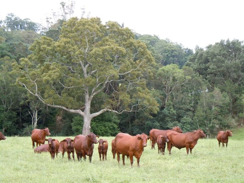 Berry NSW 2535