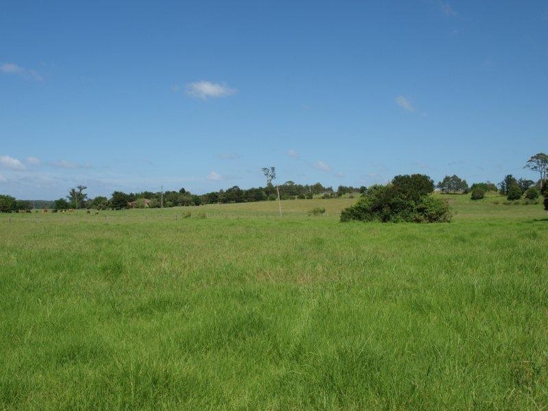 30 Lamonds Lane, Bomaderry NSW 2541